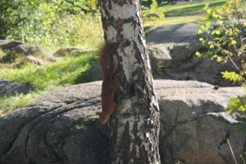 IMG_5441.JPG