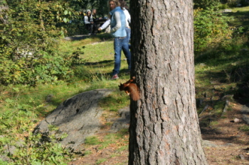 IMG_5452.JPG