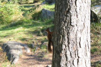 IMG_5453.JPG