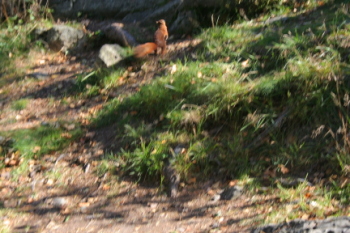 IMG_5454.JPG