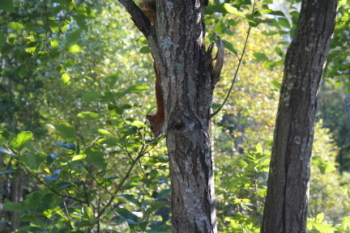 IMG_5460.JPG