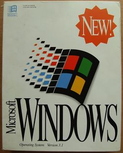 Windows 3.1 Box.jpg