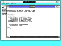 Windows 286 running.png